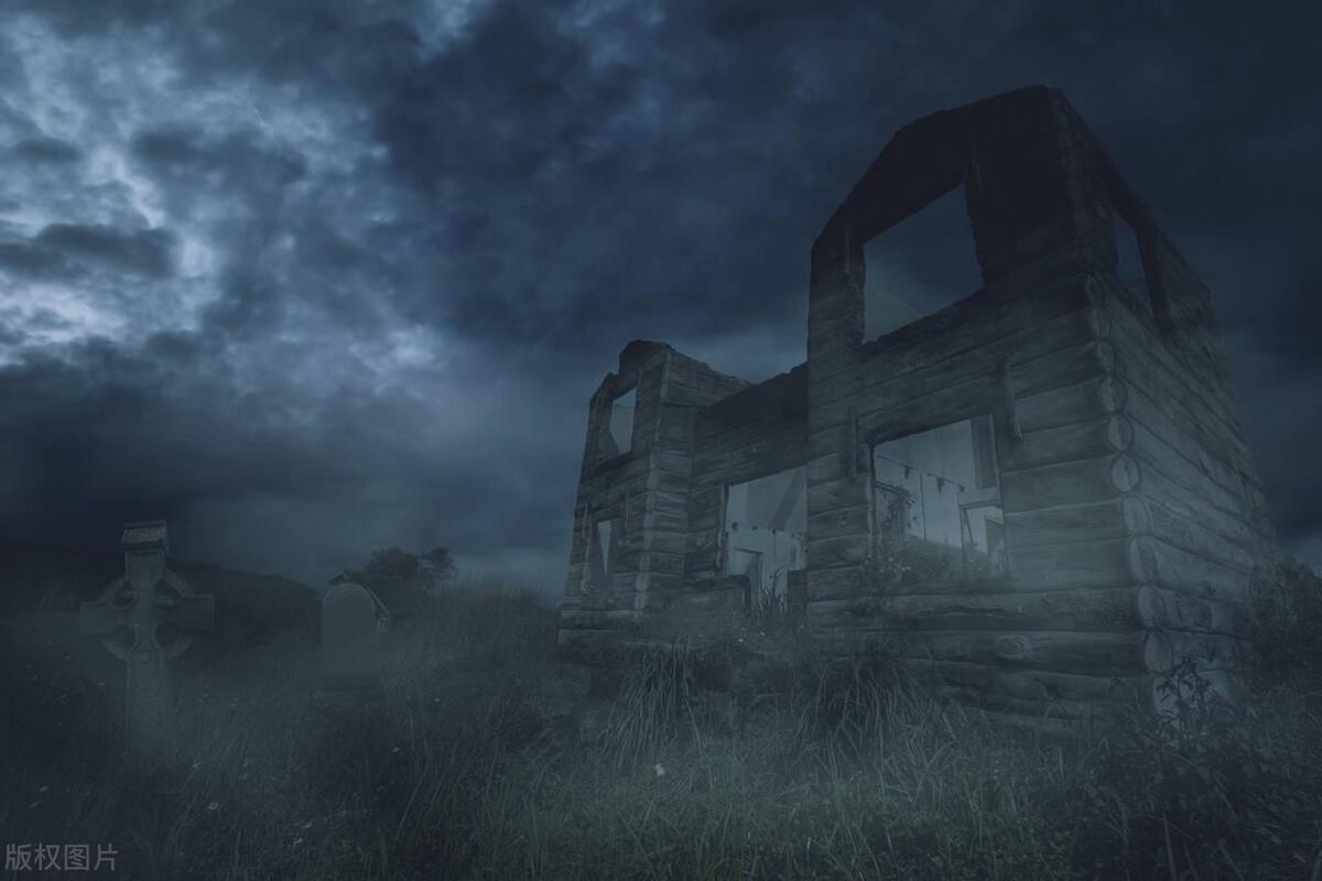 多女主且女主黑化的小说,男主黑化实力逆天的小说