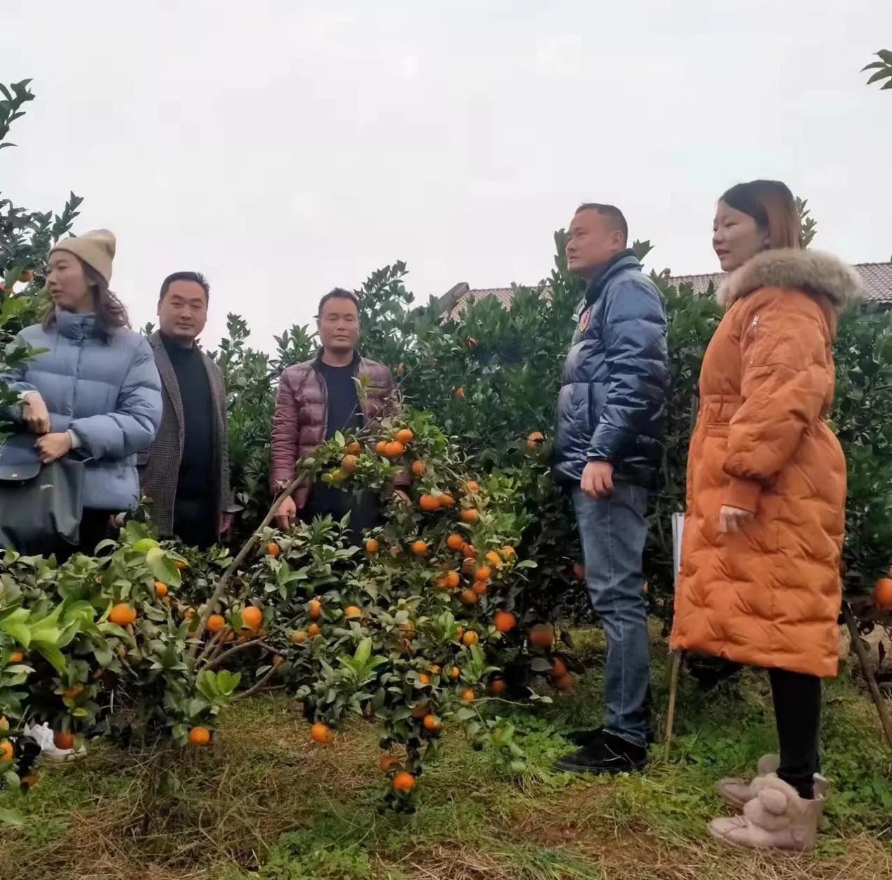 宜宾南溪区仙源街道,宜宾南溪区仙源街道最新消息