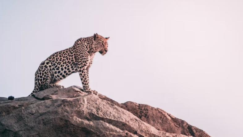 穷人的八大特征需要改变,穷人的特质你占了几条