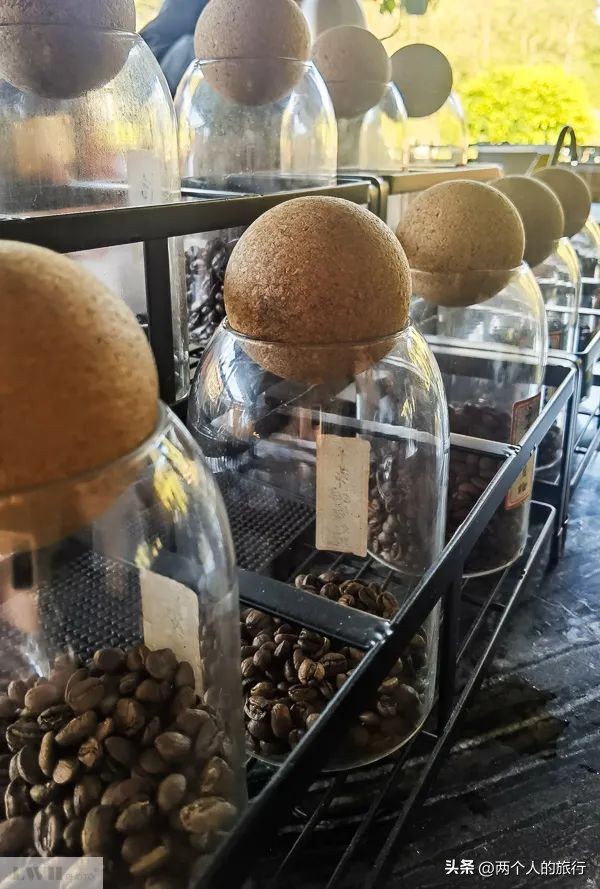 从普洱茶到古树茶的感悟,好喝普洱咖啡