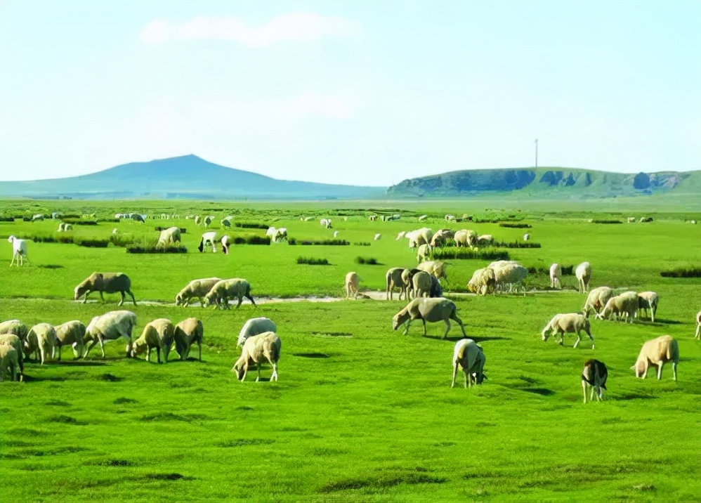 敕勒歌古诗二首教案,古诗敕勒歌教学讲解幼小衔接