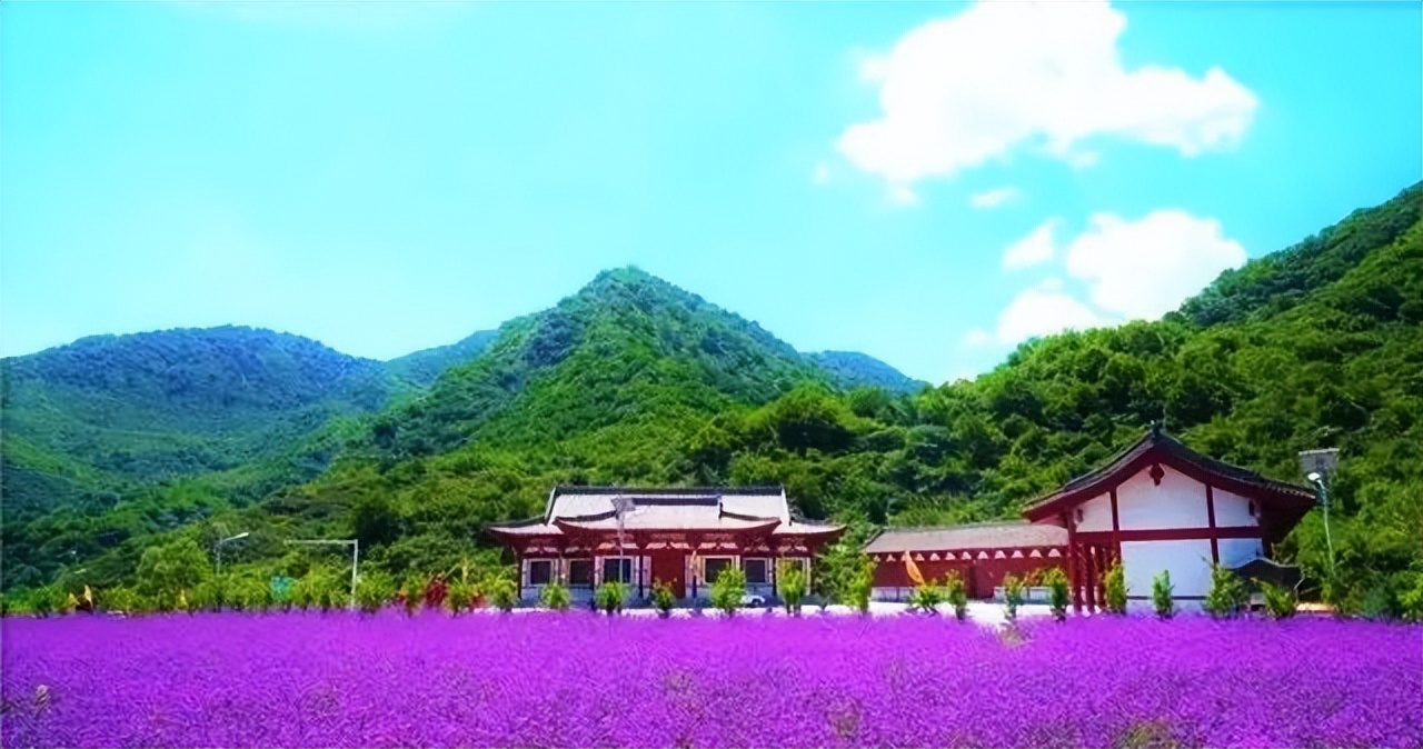 大美崇信，诚信之城欢迎您！