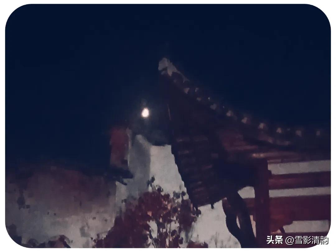 「文人情怀」月影|《吟秋》组诗