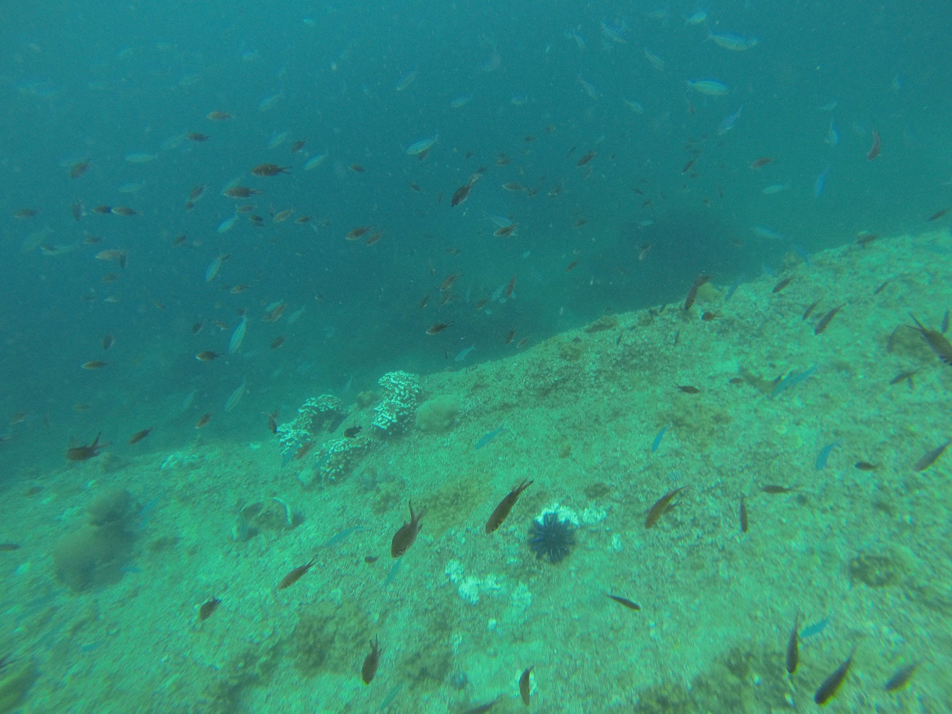 耘农智慧,邯郸市耘农智慧