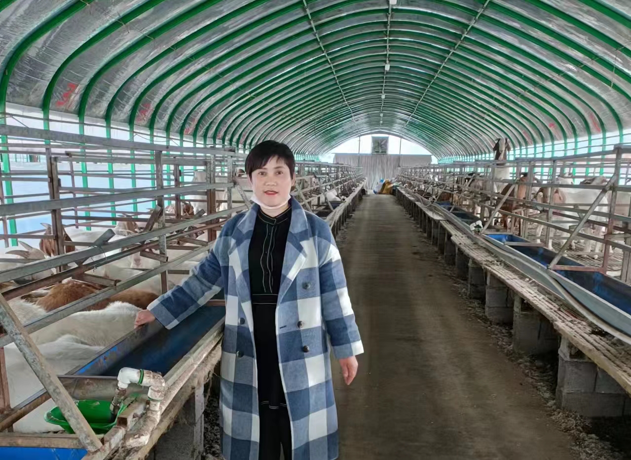“鸿雁”高飞种养结合创丰收——记河东区鸿雁人才马利娟