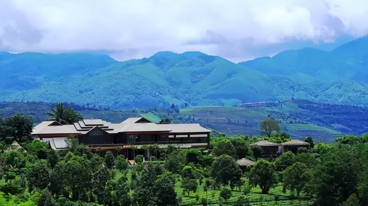 罗莱夏朵香缇,罗莱夏朵探店