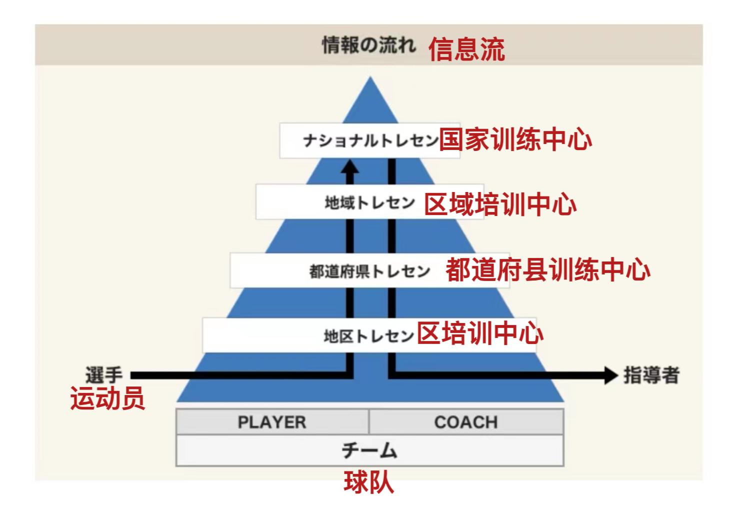 鏃ユ湰瓒冲崗瀹樼綉澶氱姣旇禌,鏃ユ湰瓒冲崗2019