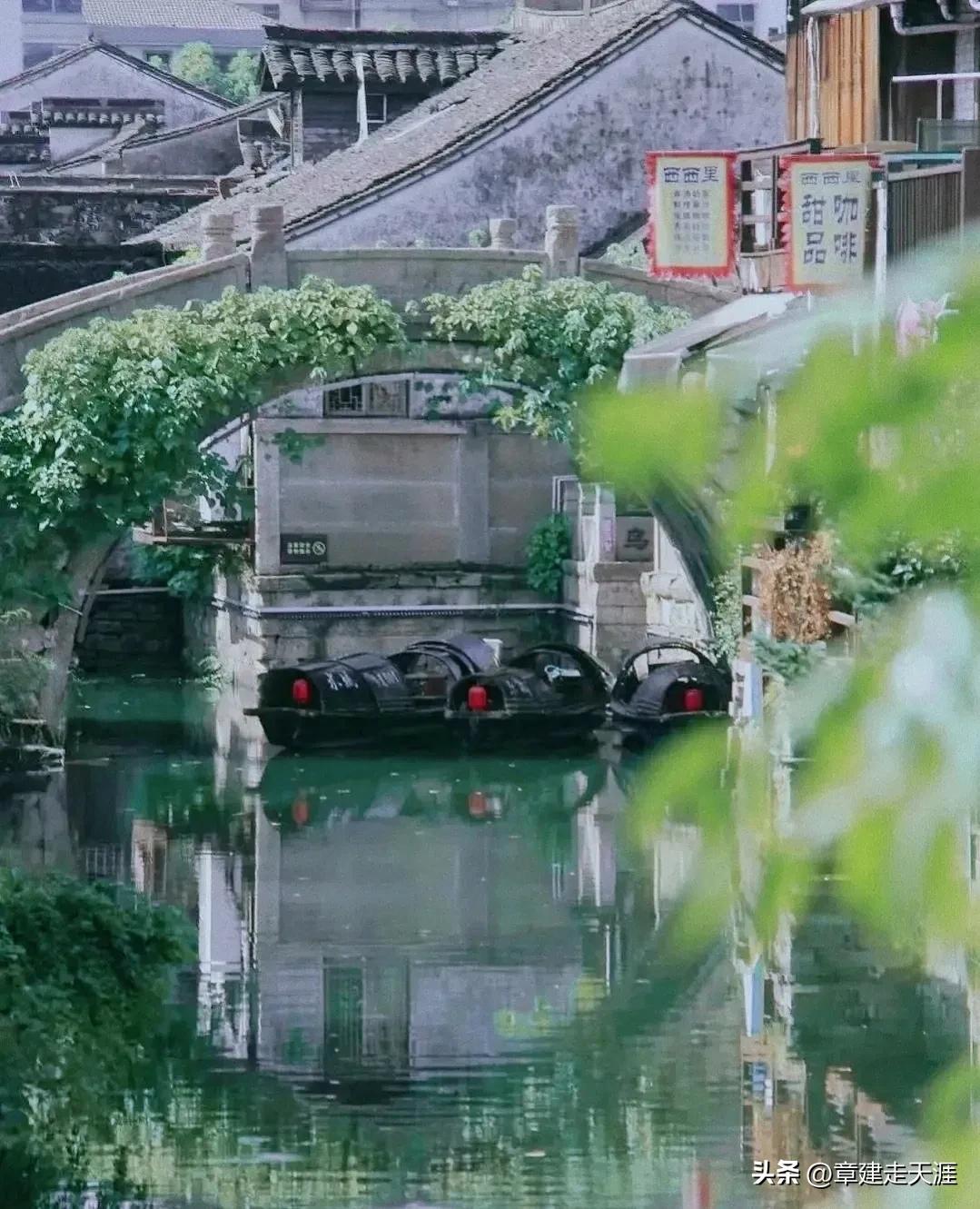 浙江绍兴避雷,绍兴抗老避坑指南