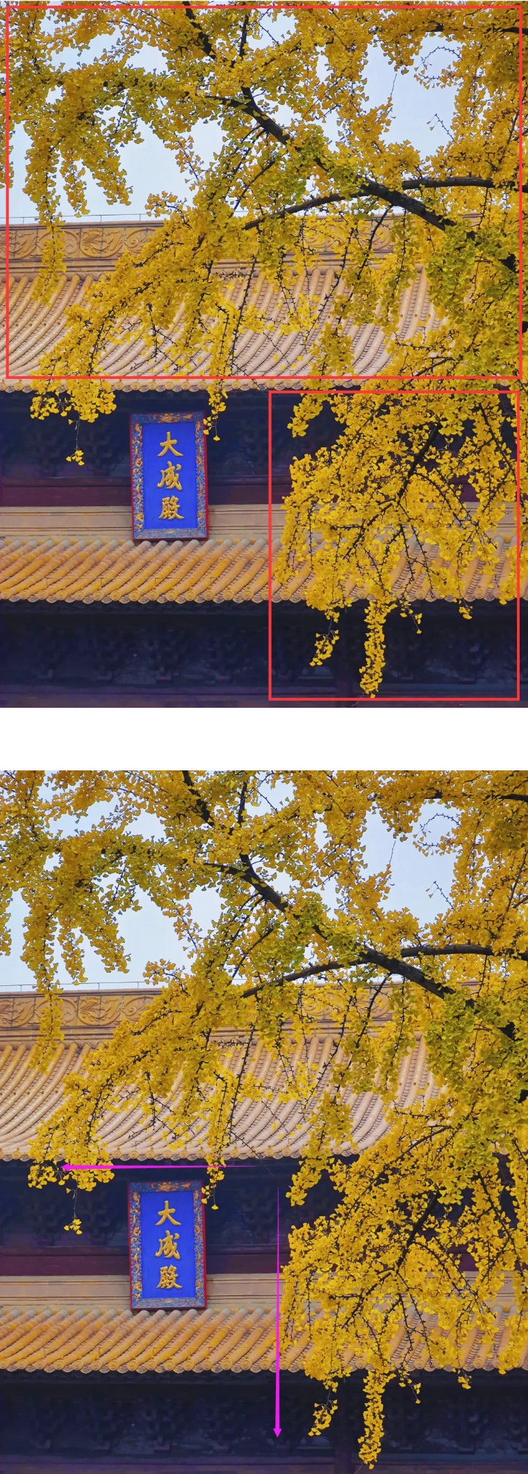 36个技巧助您手机拍大片,学会这7点轻松拍大片