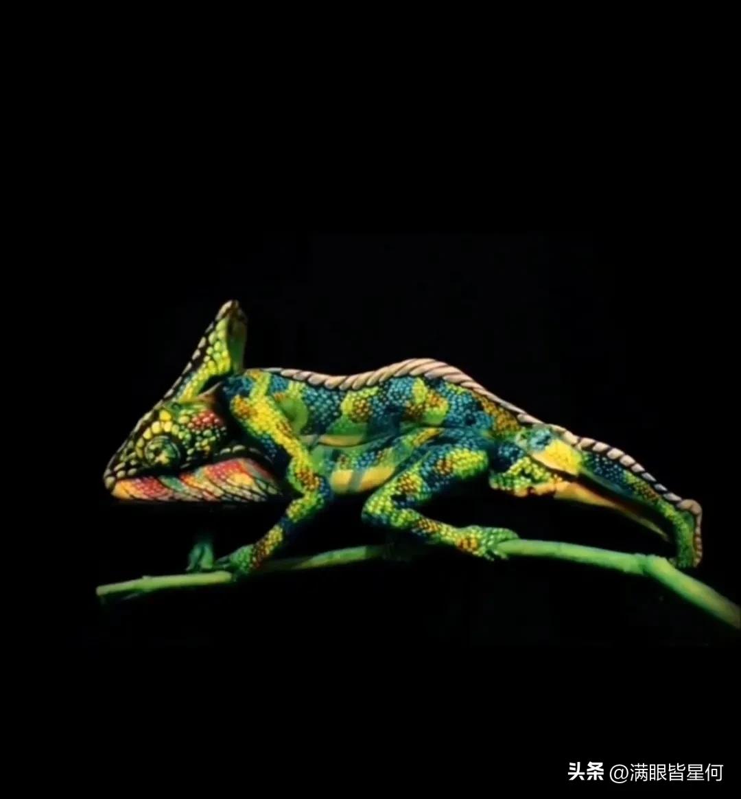 100张不可思议的巧合图片,20张惊人相似照片