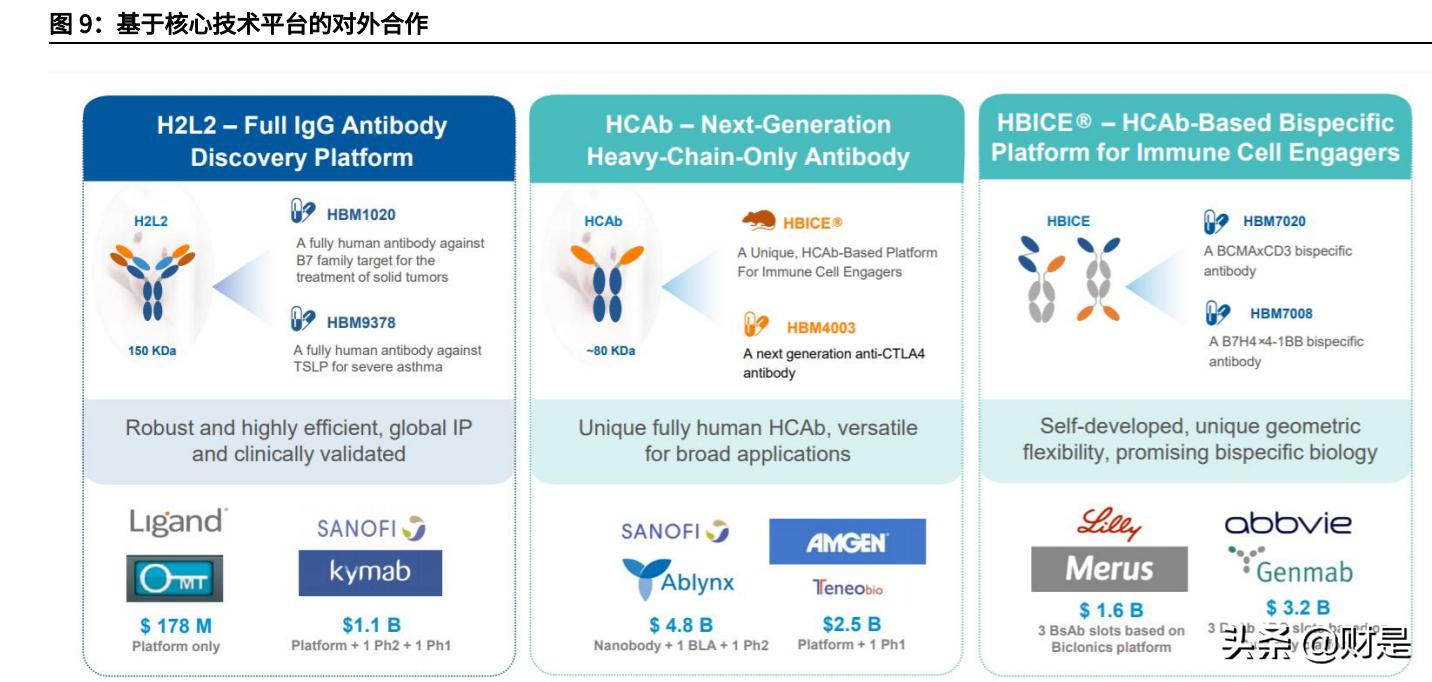 和铂医药是国企吗,和铂医药深度分析