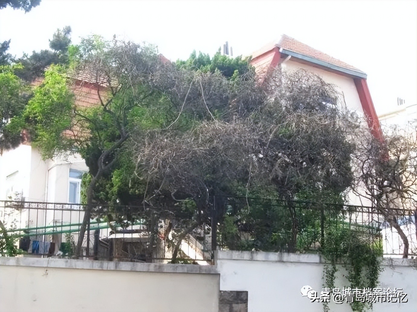 我的齐东路（上篇）