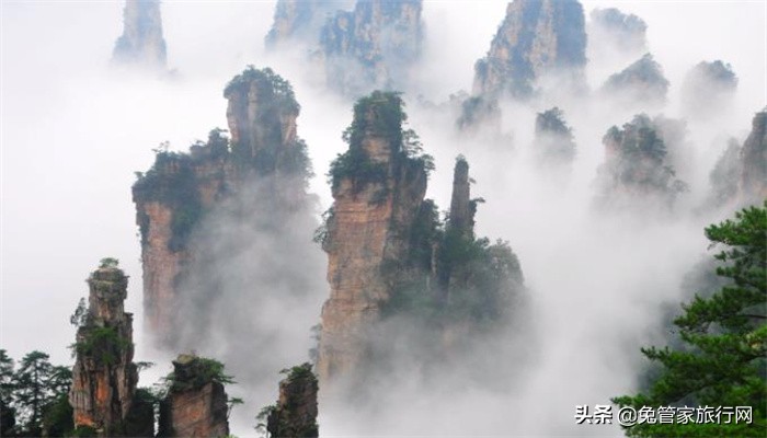 黄山云海好看还是张家界云海好看,下雨天张家界旅游带什么