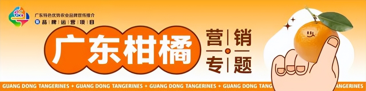 柑橘采摘助农活动,助农增产增收千人会议