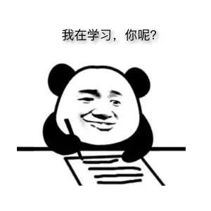 如何高效的学习计算机编程,编程高效入门