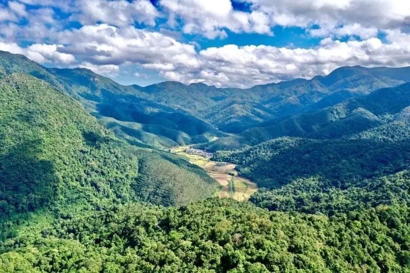 西双版纳美景如画人间仙境,分享云南魅力西双版纳美景