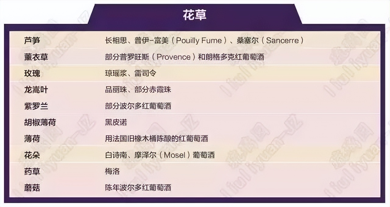葡萄酒基础知识教程电子版,葡萄酒器具大全