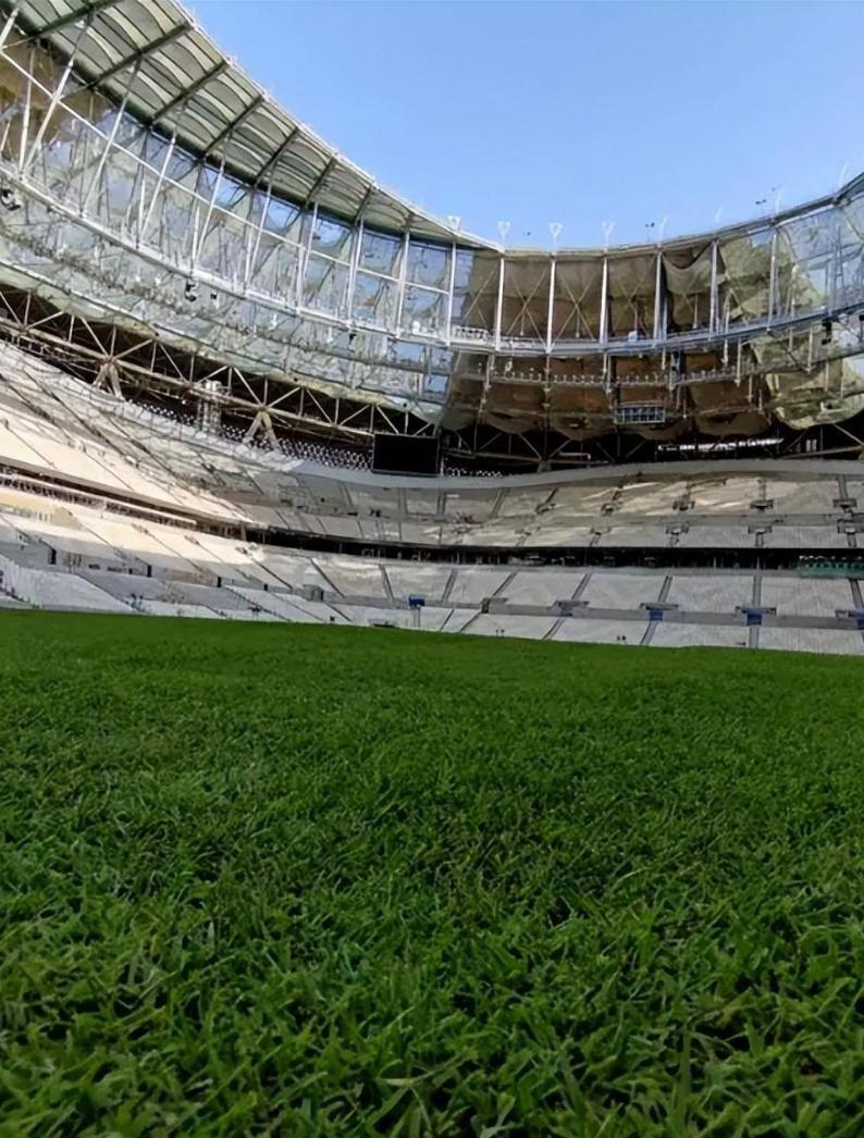 世界杯的草是真草还是假草,世界杯的草地是真的吗