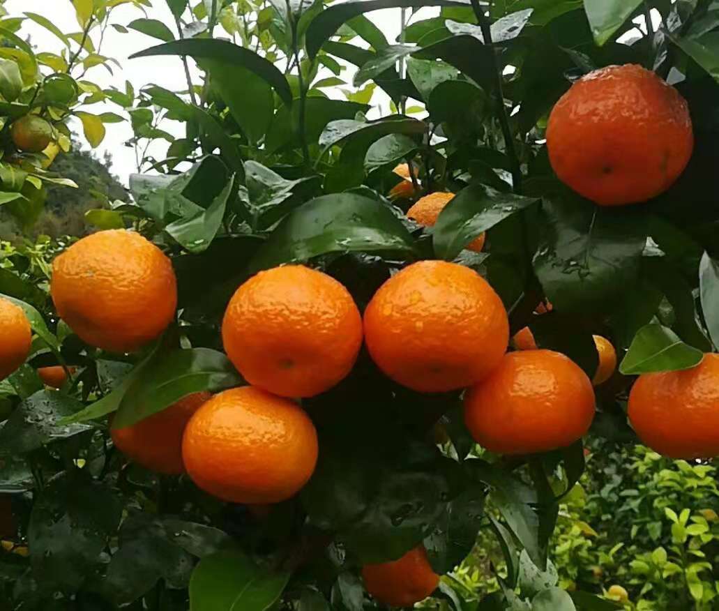 行业不景气怎么办,行业不景气如何创业