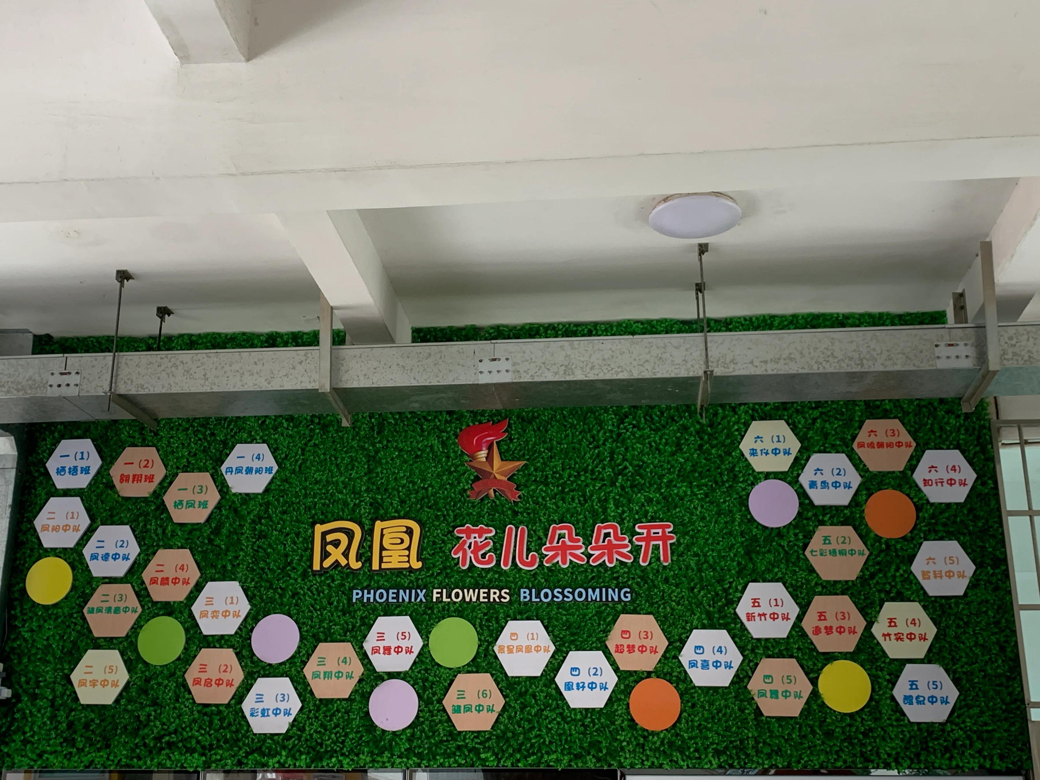 美丽的凤凰小学,林中凤凰小学