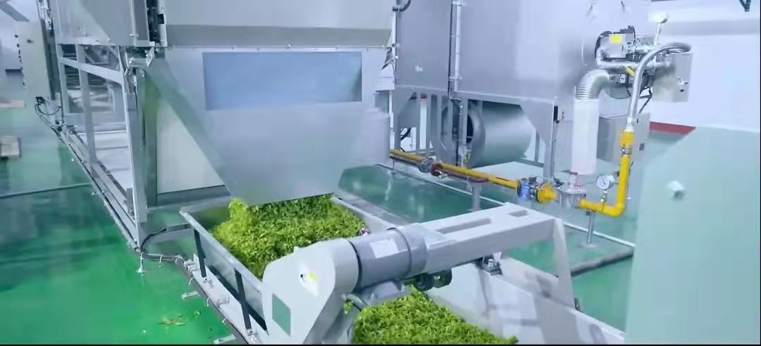 中国为何要多花2个亿,从印度进口茶叶?是中国茶不如印度茶吗?