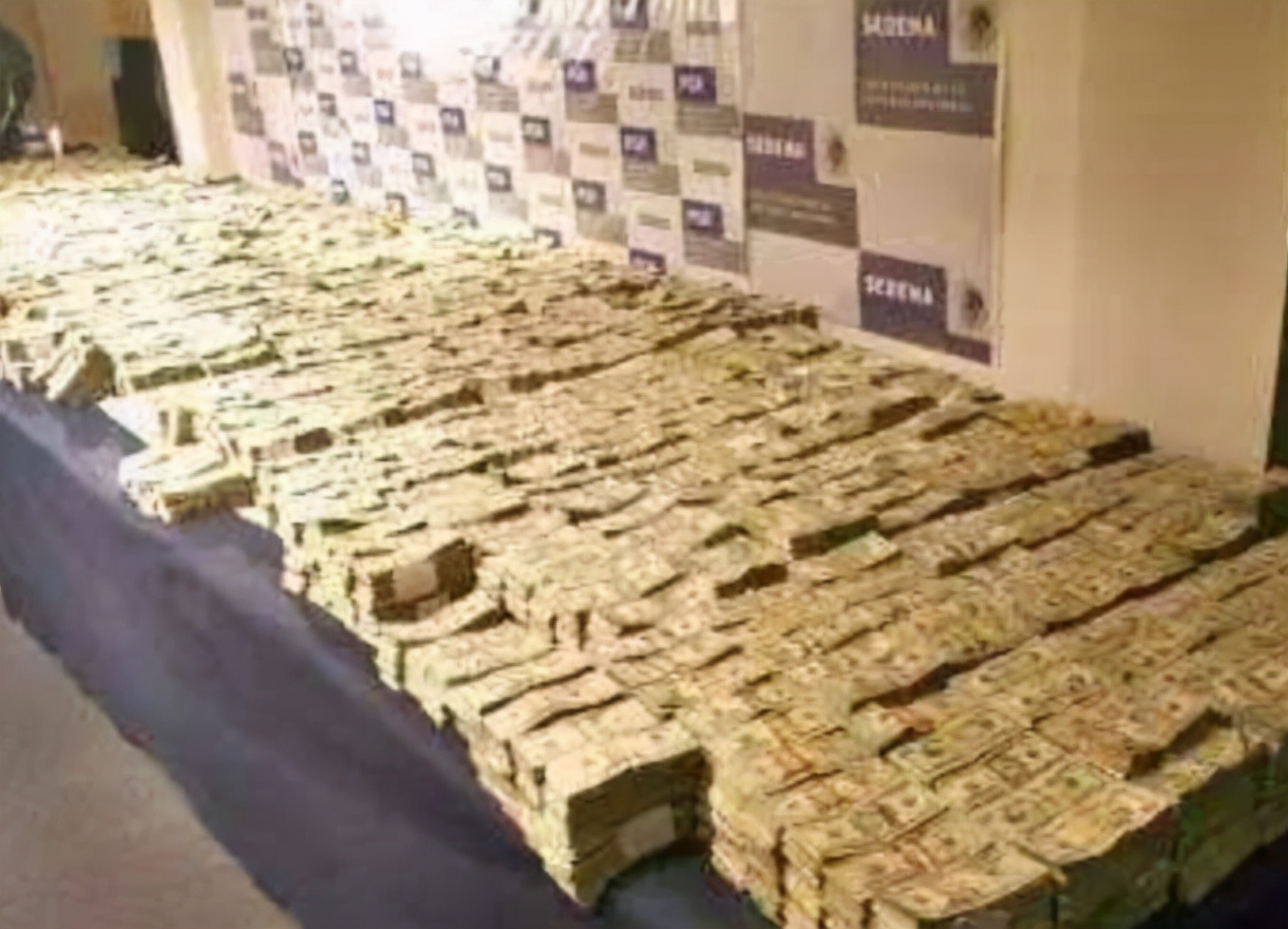 毒王叶真理有多少钱,世界毒王叶真理有多厉害