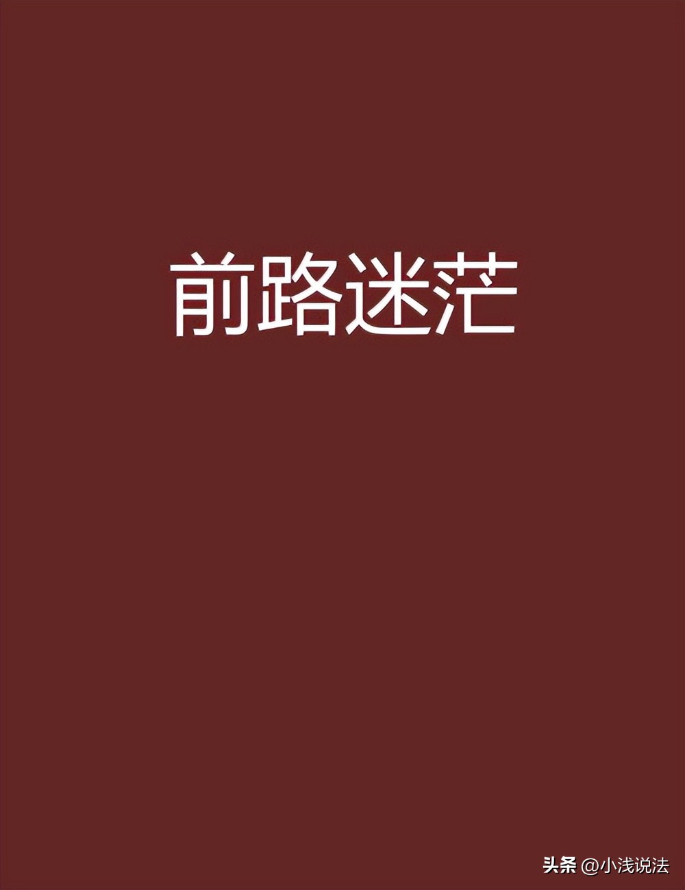 上海杀害出轨丈夫女子被判刑,1995年上海杀妻案件
