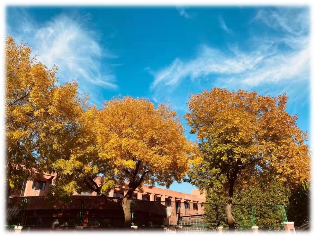 天津中学校纪校规,天津市天津中学优缺点