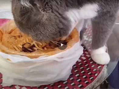 为啥有人喜欢吃没洗干净的猪大肠,猪大肠为什么不洗干净