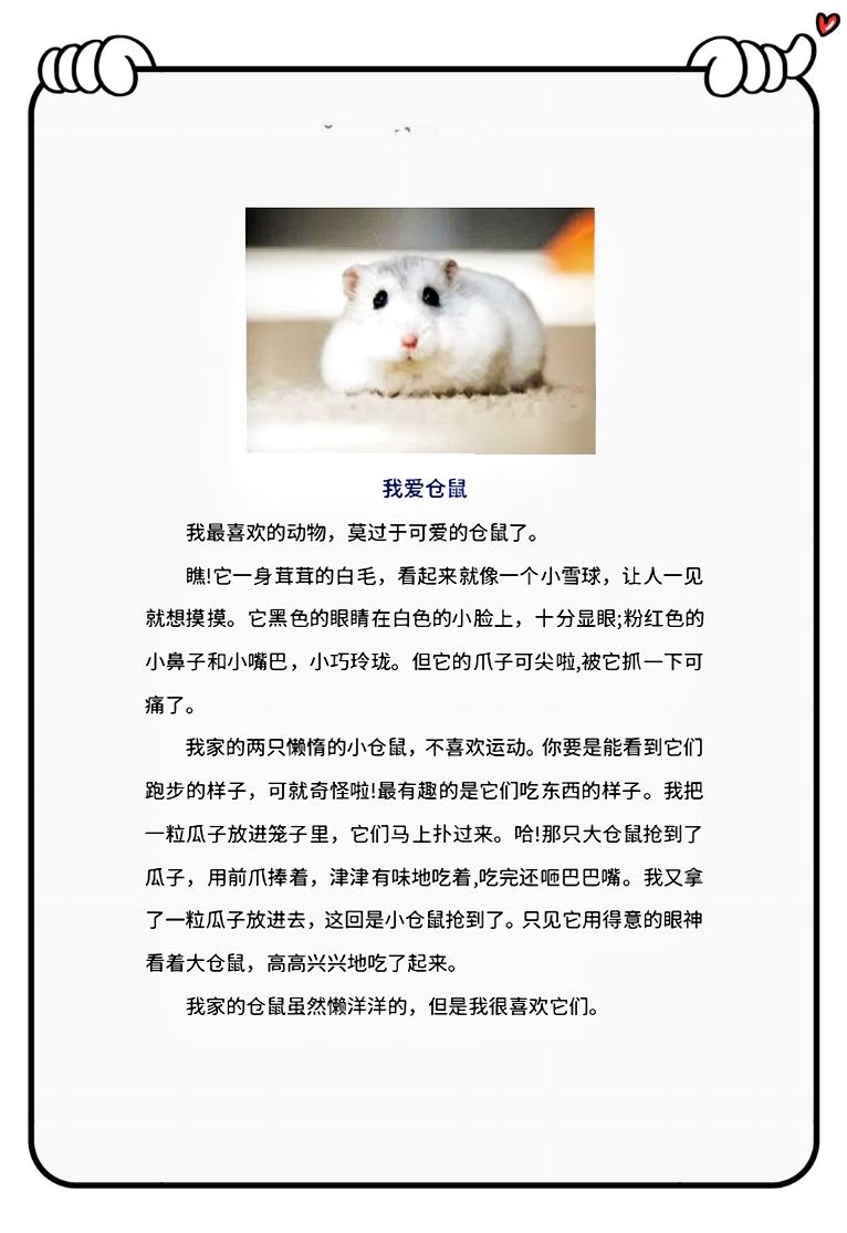 二年级语文下册写可爱的小动物,二年级下册第七单元作文小动物