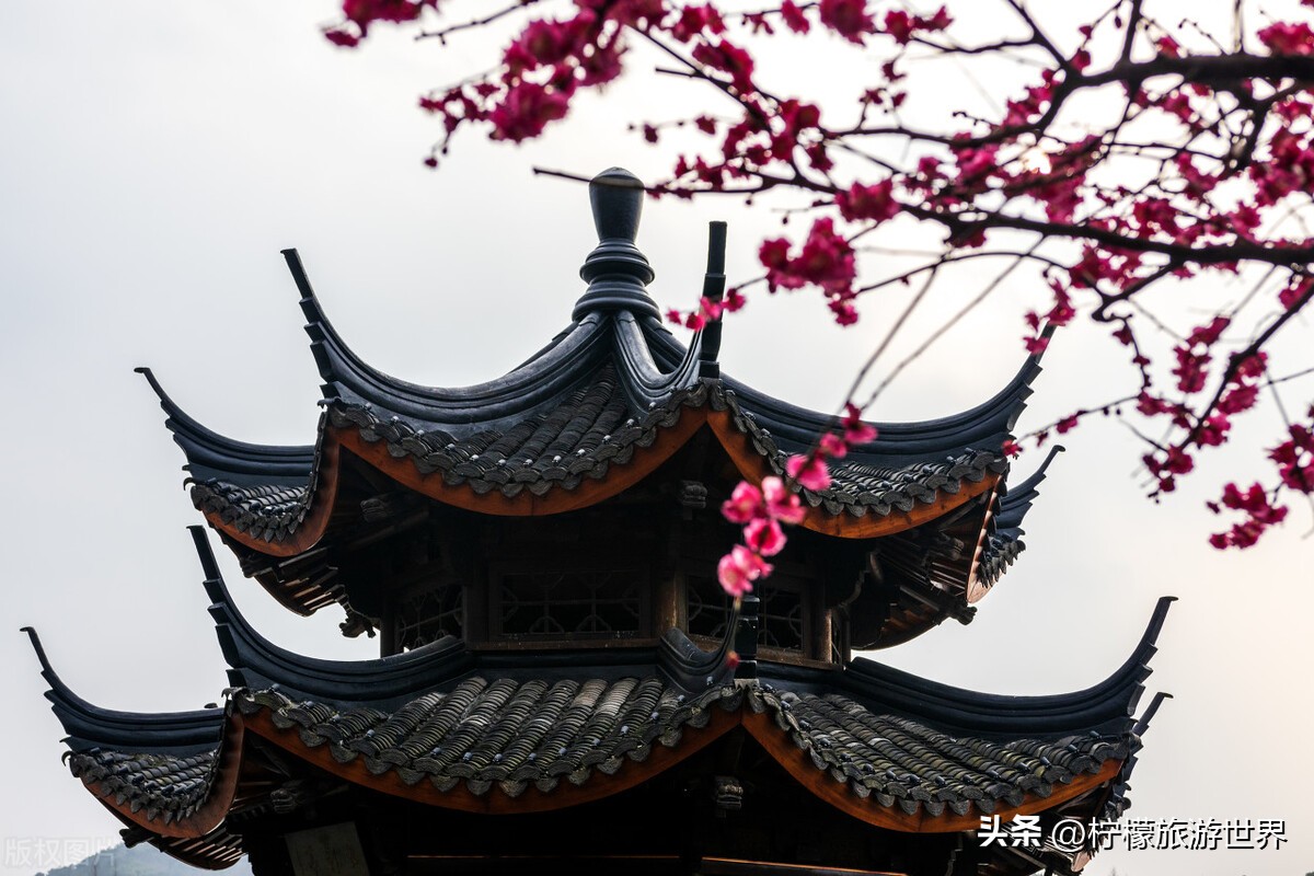 杭州郊外踏春,踏春杭州