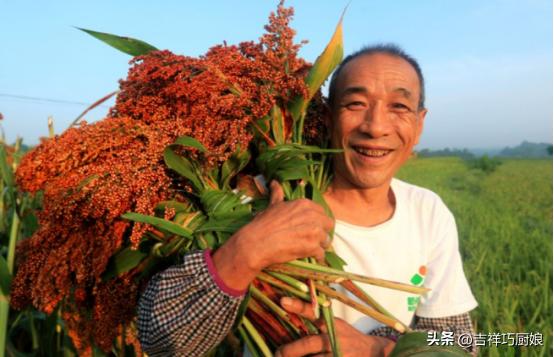 台湾大陆茅台,大陆茅台与台湾的玉山茅台