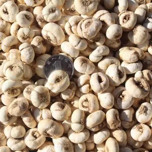 促进胃十二指肠溃疡愈合的药,促进回肠溃疡愈合的药