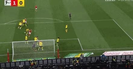 拜仁止颓势多特延续不败,多特无缘德甲冠军罗伊斯