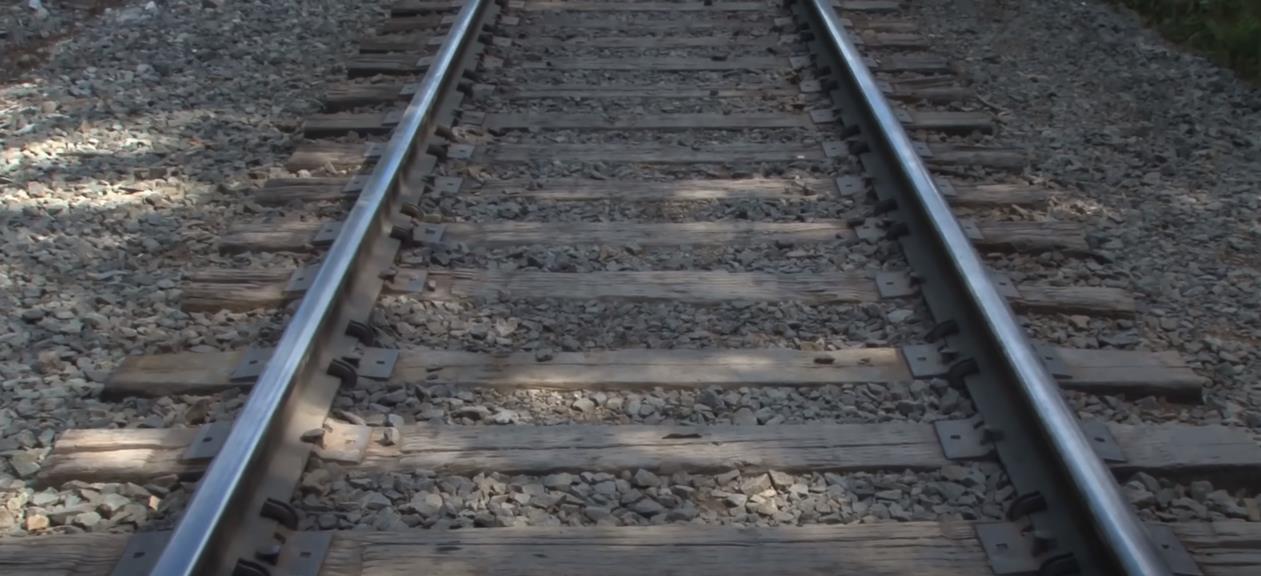 英国连环杀儿童,英国两个10岁男孩杀害2岁孩子