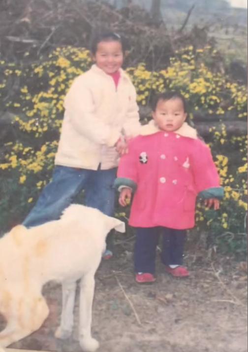 网红七颗猩猩轻松月入七十万,七颗猩猩保时捷