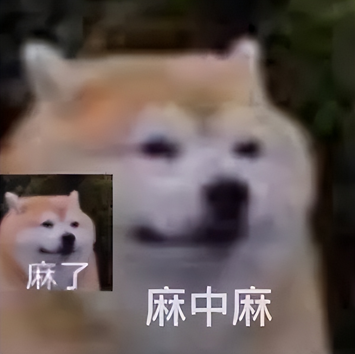 华为应用市场停用了,华为应用市场现在有多少个应用