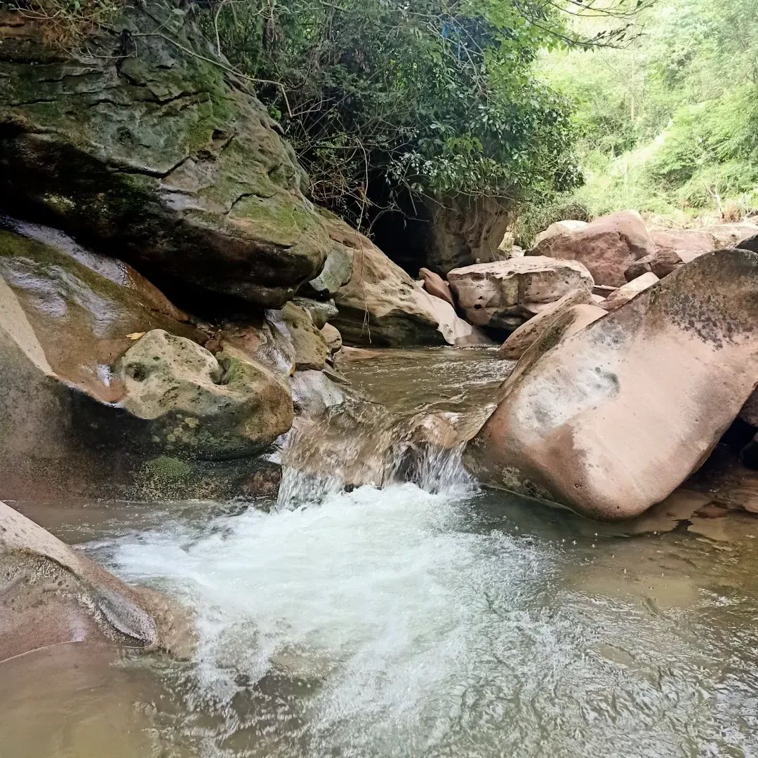 六月一起去邛崃逛古镇看云海日出共赴萤火虫之约