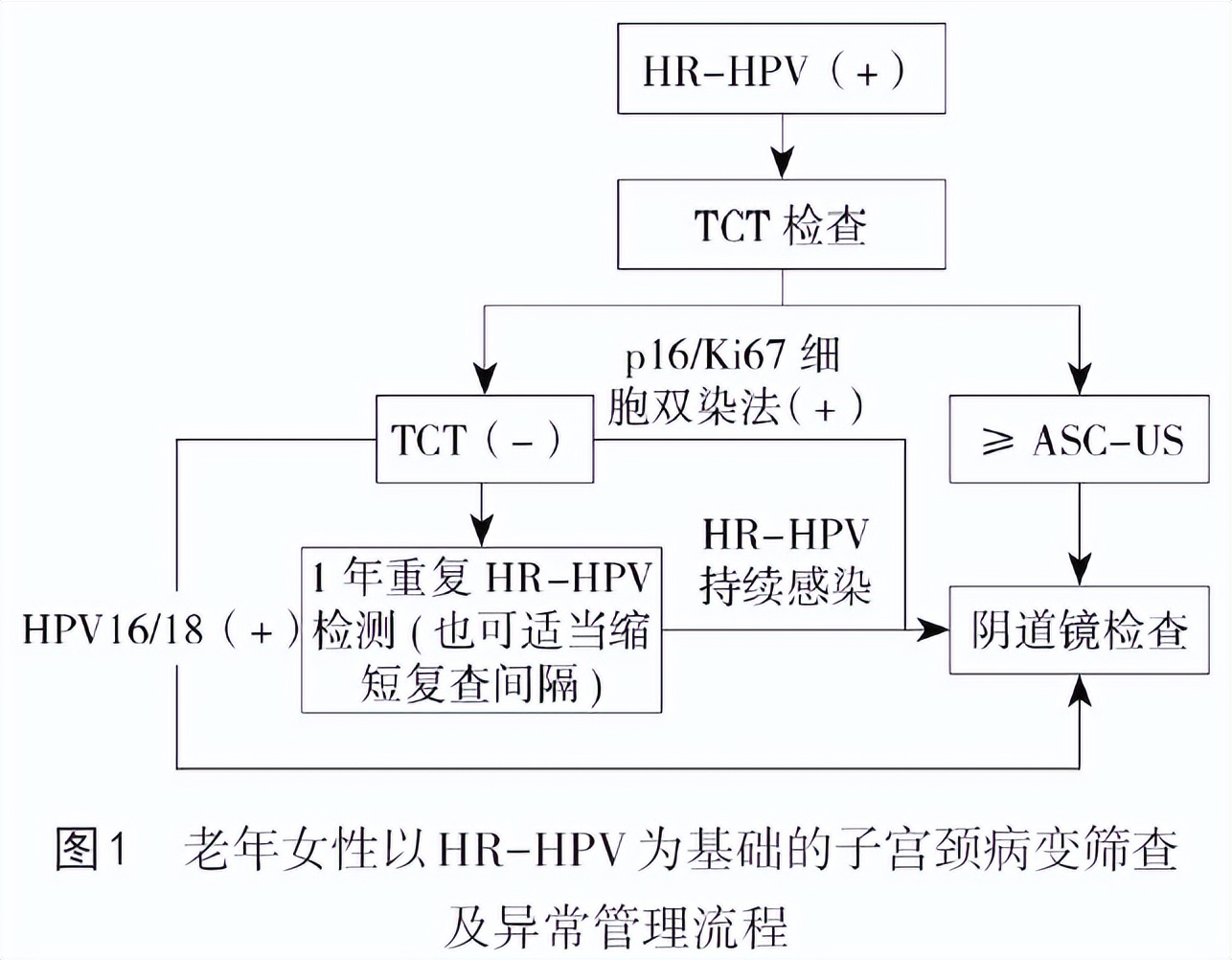 老年女性宫颈病变的筛查策略,60多岁的女人怎样查宫颈管病变