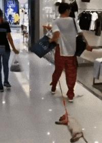 论一个人情商,论一个人能有多悲伤