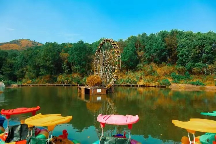 农村小伙靠200元发家致富,农村80后小伙创业年入近千万