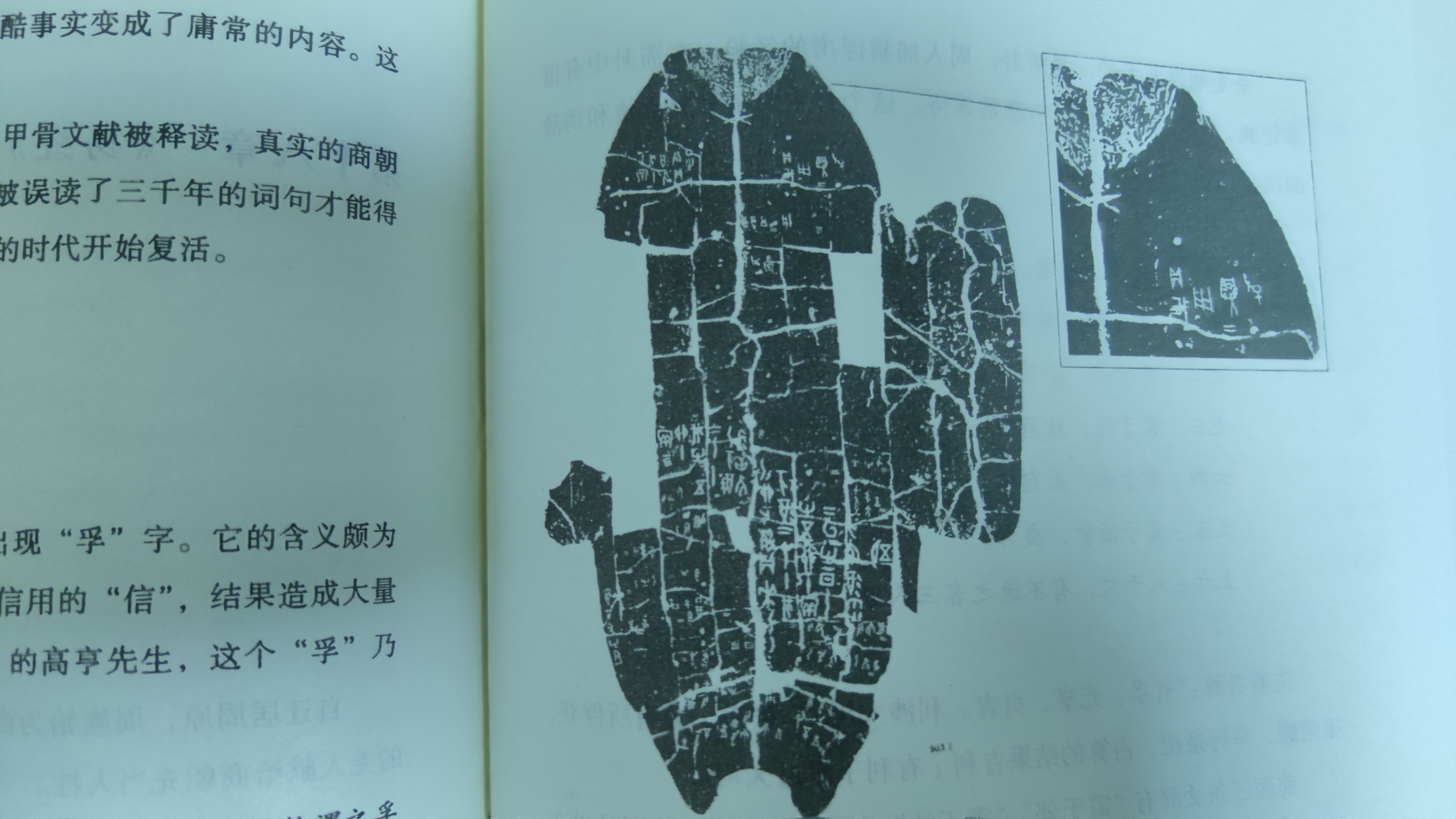 网上买的书为何气味重,书有刺鼻味是什么原因