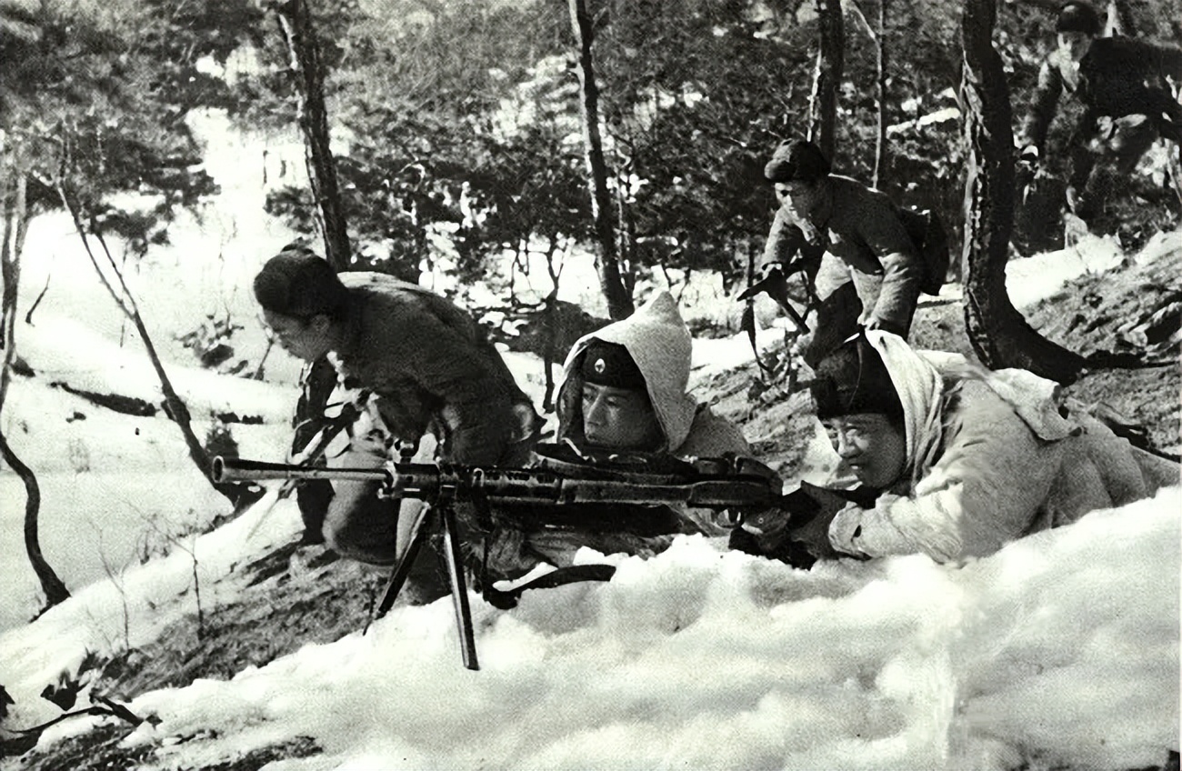 德国军事专家分析志愿军实力,德国专家对中国军人看法