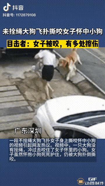 从深圳金毛咬狗事件，说说“大暖男”金毛爱咬哪些狗？为什么