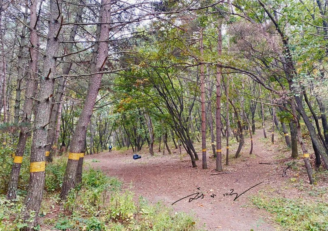 延吉的免费小众景点,游览延吉视频