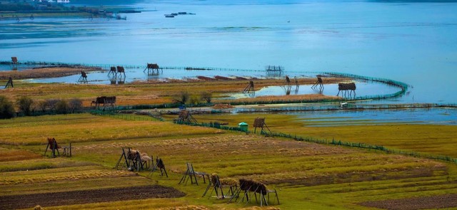 长安三万里里面的古诗集锦,长安三万里经典的古诗