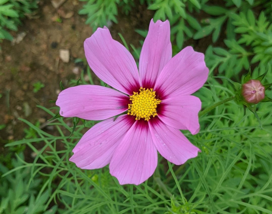 人喜欢独处的真实原因,为什么越来越厉害的人越喜欢独处