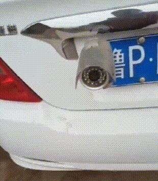 “是小蛇出了轨，还是青蛙劈了腿？”这是现实版的美杜莎？哈哈