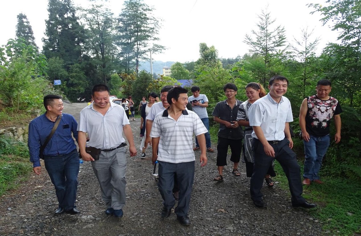 忆起那些年：师范母校，梧桐花开