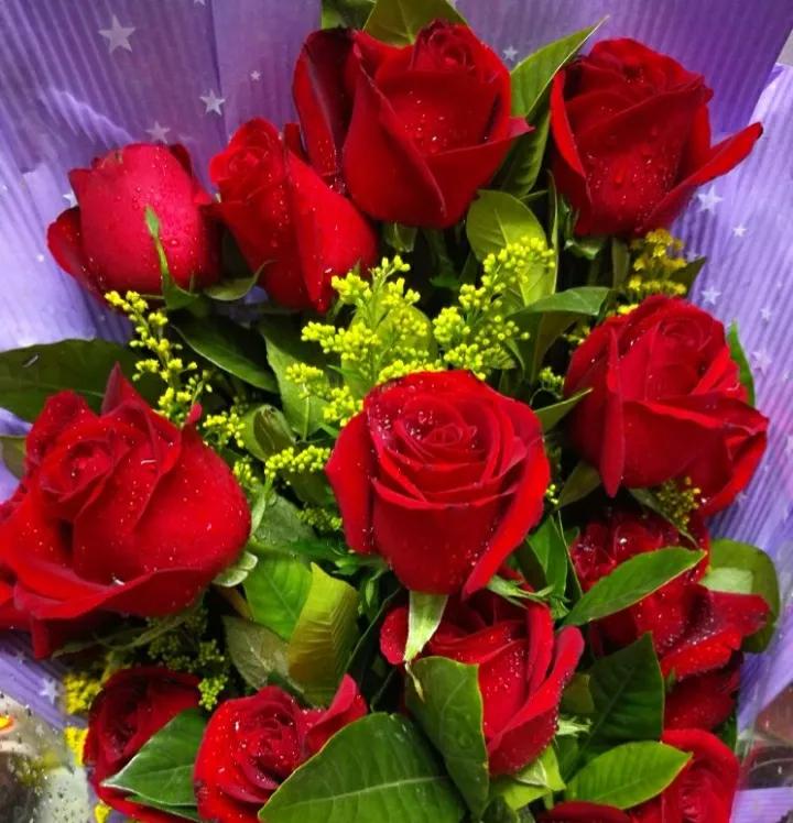 你是我的骄傲，我祝福你